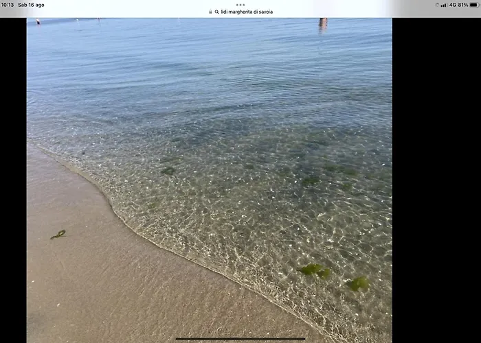 Aurora Margherita Di Savoia